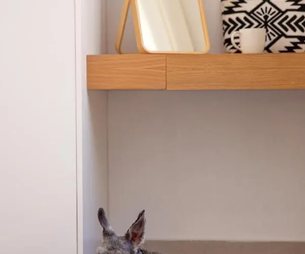 Сasa de vacaciones Orestis Downtown Rétino